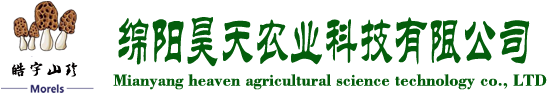 &#20048;&#40060;&#32593;&#39029;&#29256;&#22312;&#32447;&#30331;&#24405;&#45;&#108;&#101;&#121;&#117;&#40;&#20013;&#22269;&#41;