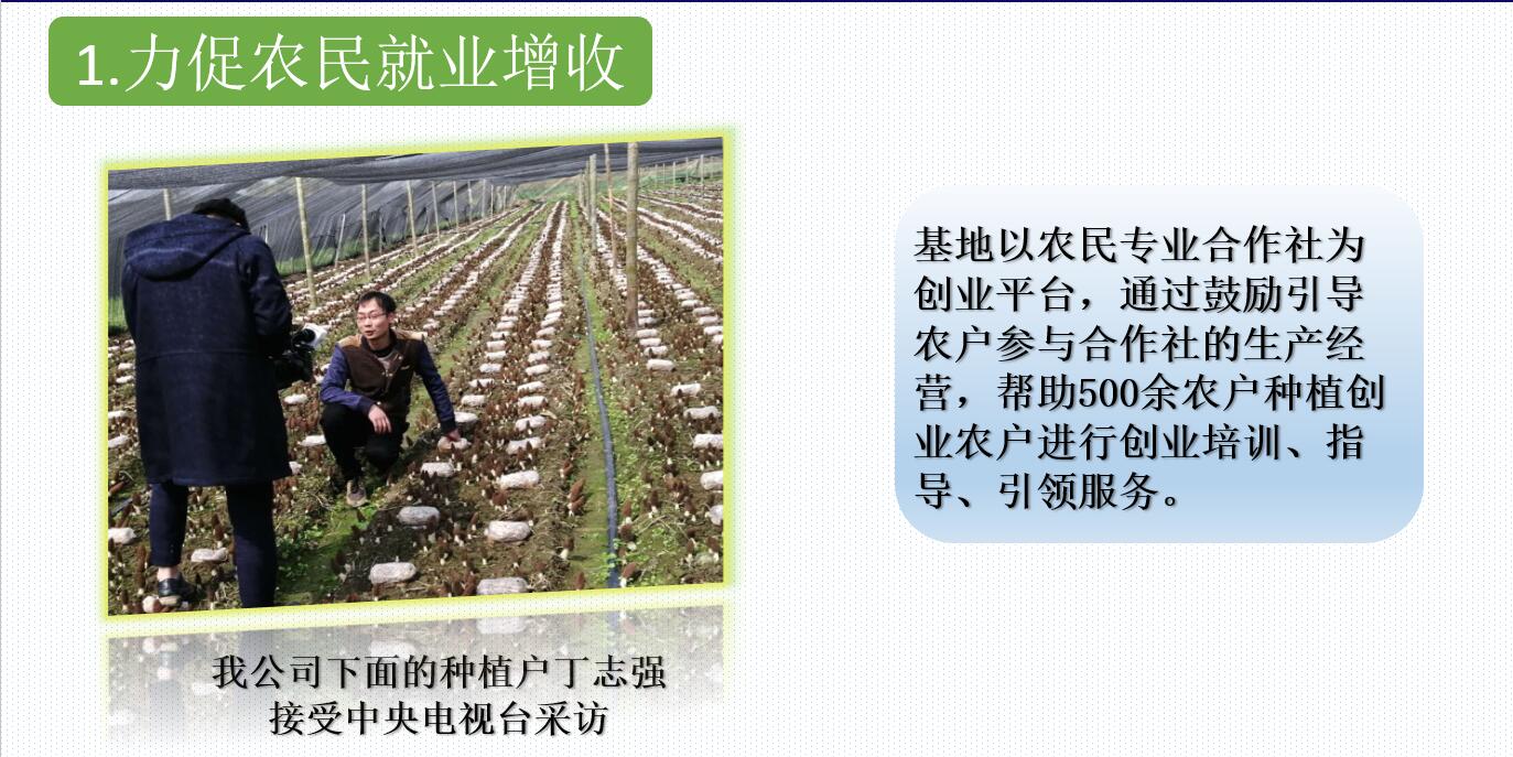 &#20048;&#40060;&#32593;&#39029;&#29256;&#22312;&#32447;&#30331;&#24405;&#45;&#108;&#101;&#121;&#117;&#40;&#20013;&#22269;&#41;